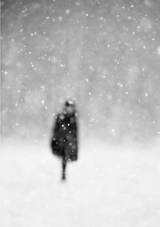 Donata Wenders, In the Snow VI, Allgäu 2010